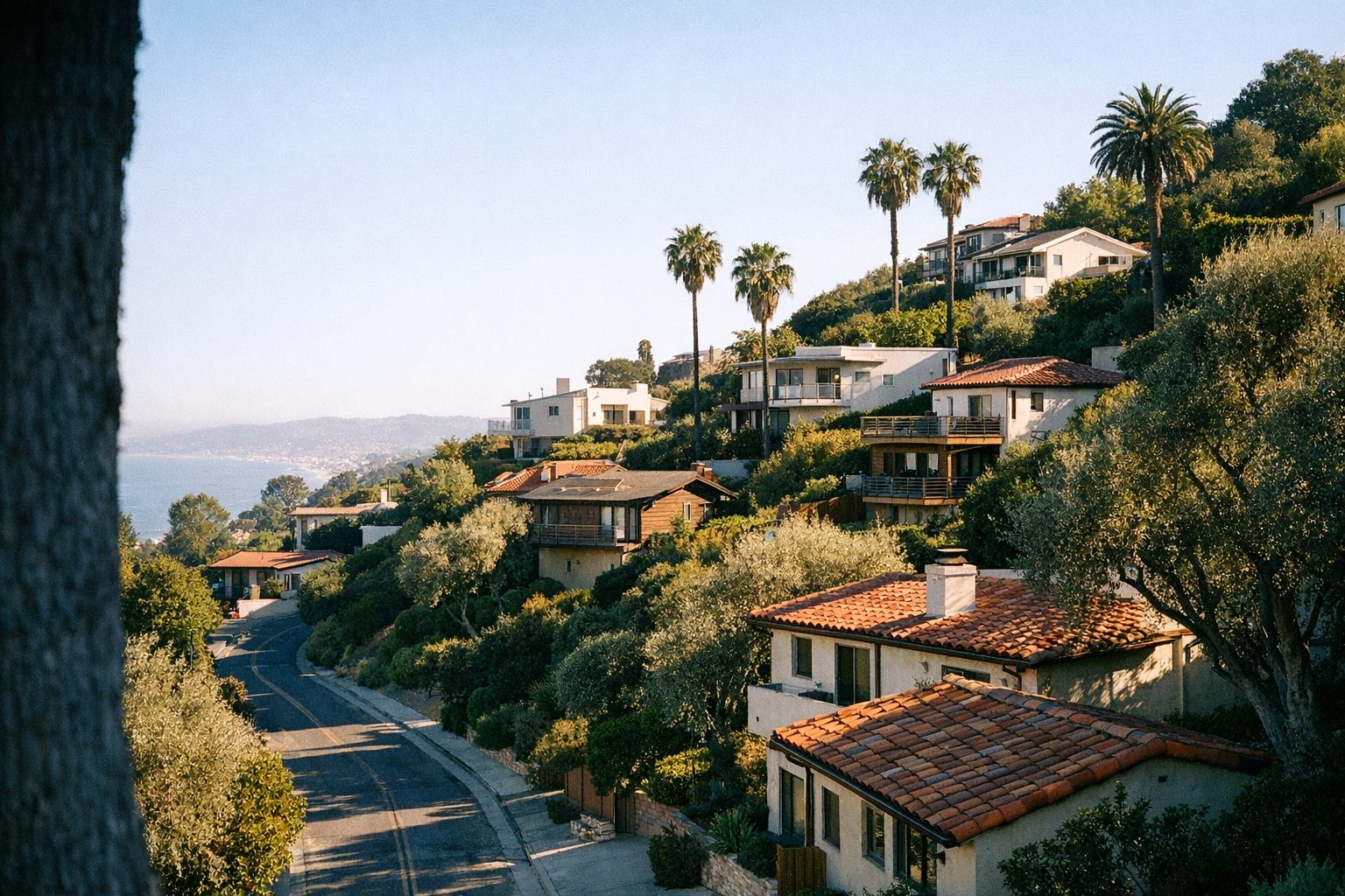 Sunlit Southern California hillside of stucco and timber homes above a hazy coastline